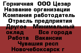 Горничная. ООО Цезар › Название организации ­ Компания-работодатель › Отрасль предприятия ­ Другое › Минимальный оклад ­ 1 - Все города Работа » Вакансии   . Чувашия респ.,Новочебоксарск г.